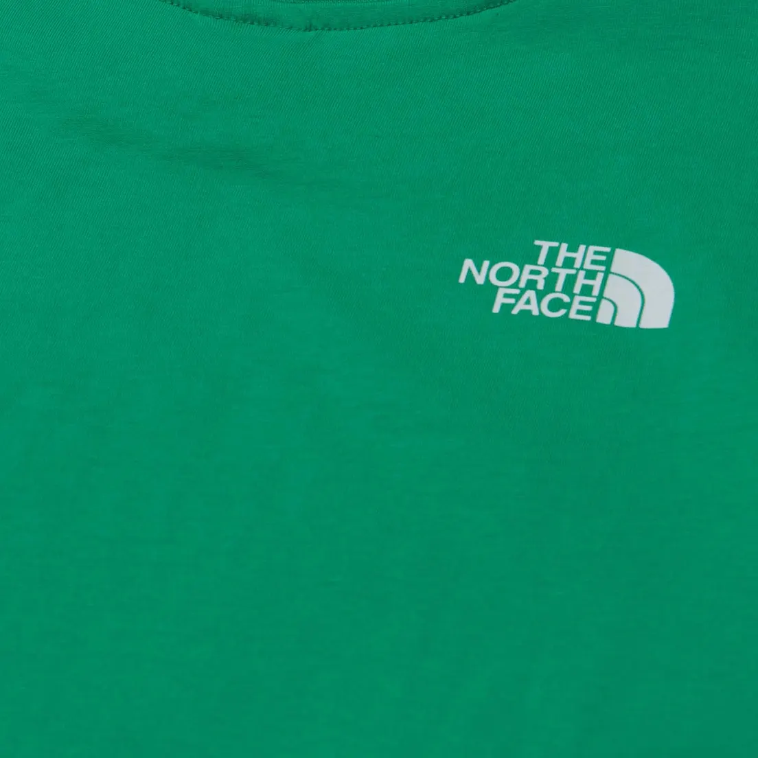 The North Face Мужская футболка Easy Crew Neck