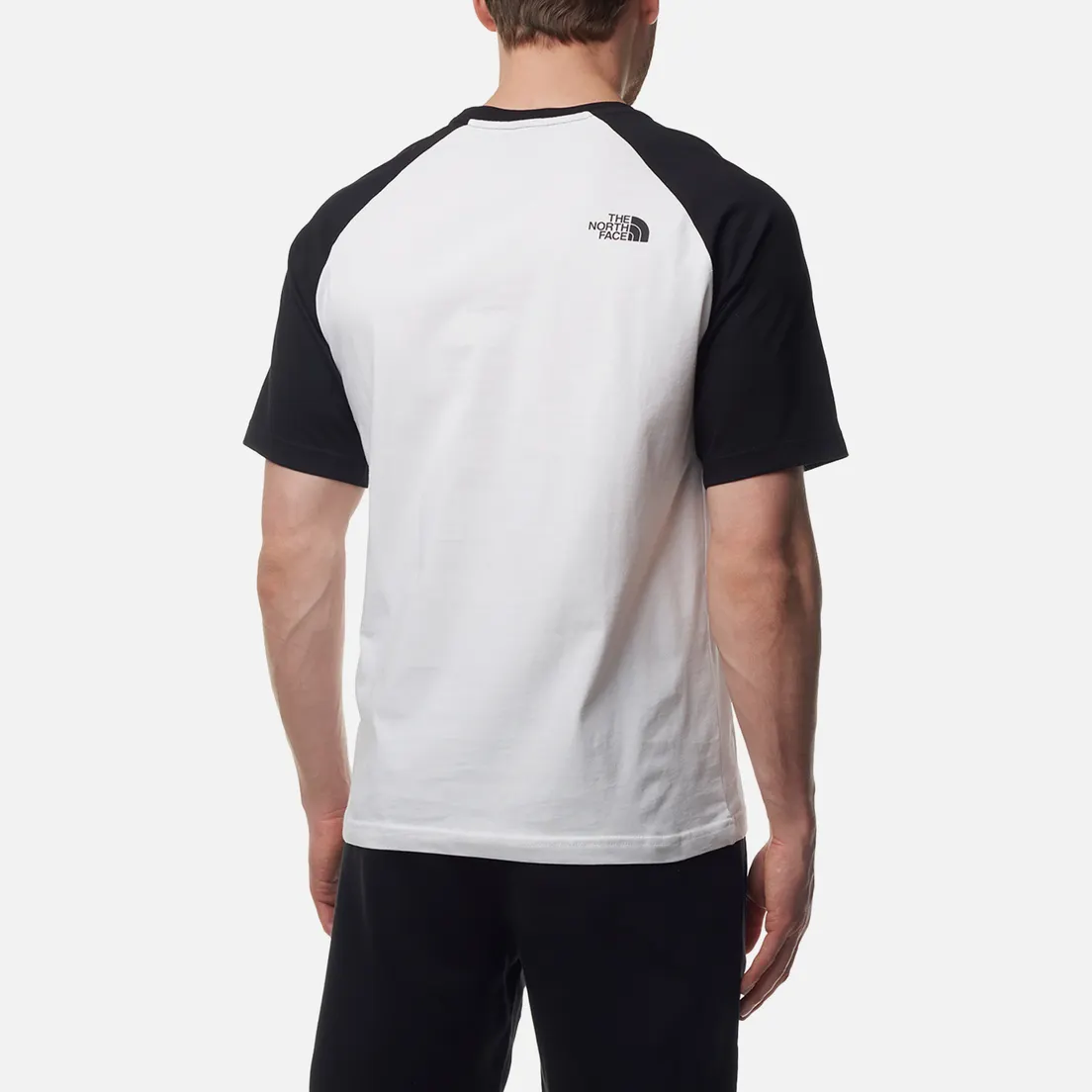 The North Face Мужская футболка Raglan Easy