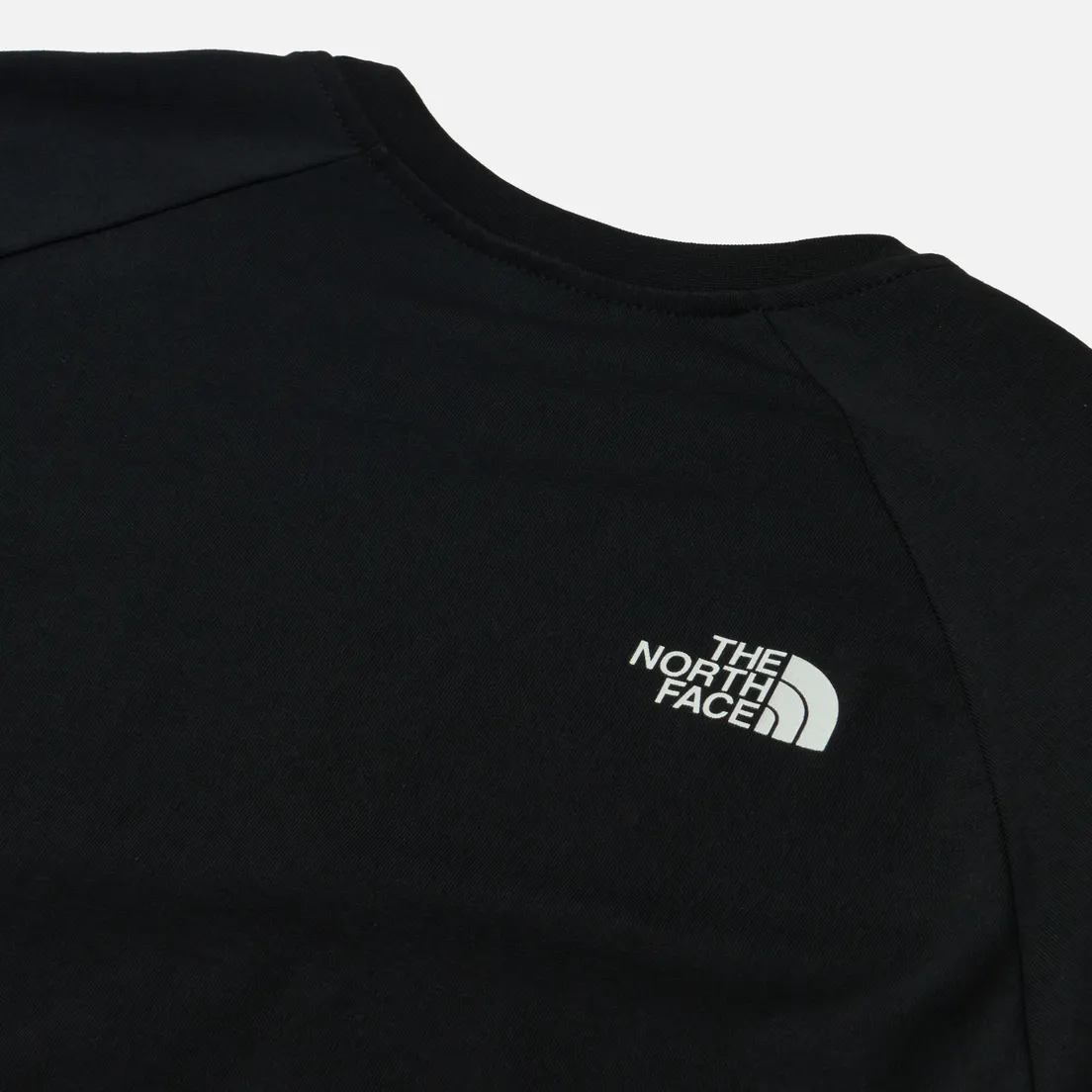 The North Face Мужская футболка Raglan Easy