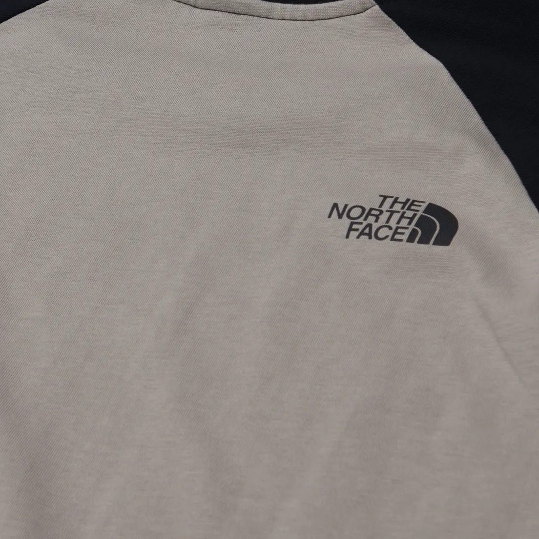 The North Face Мужская футболка Raglan Easy