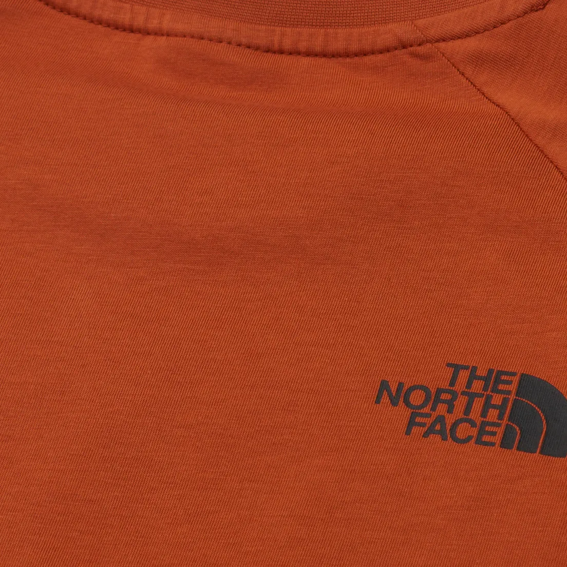 The North Face Мужская футболка Raglan Redbox