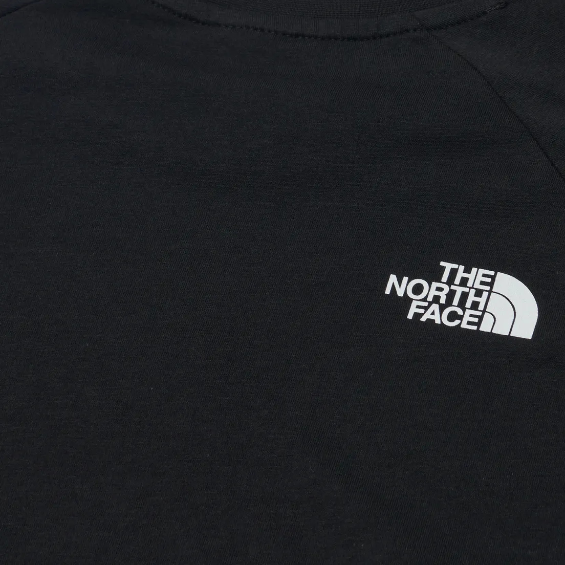 The North Face Мужская футболка Raglan Redbox