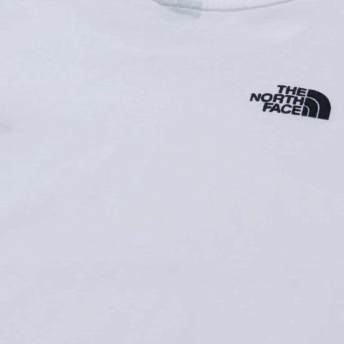 The North Face Мужская футболка Oversized Simple Dome