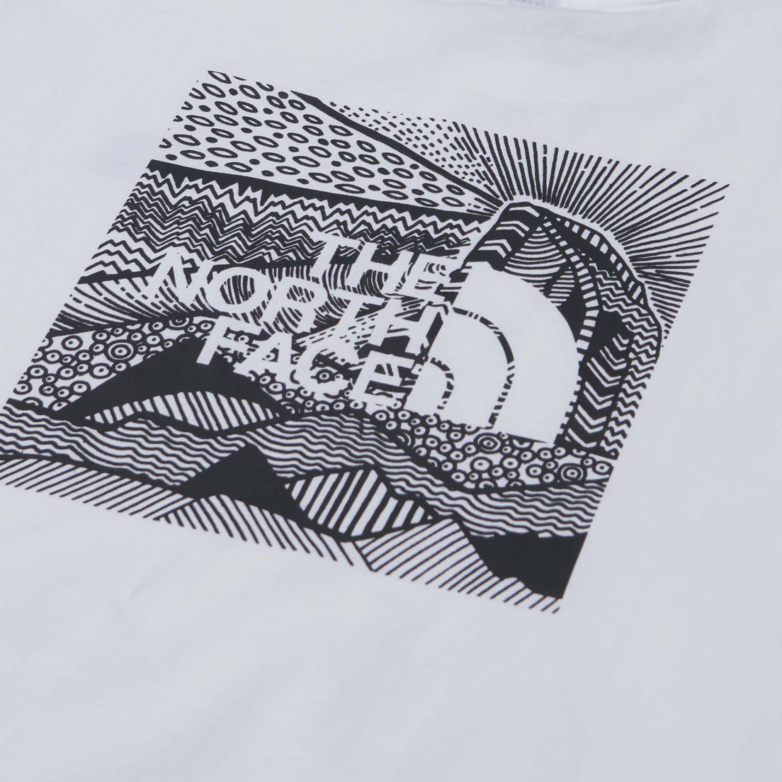 The North Face Мужская футболка Redbox Celebration