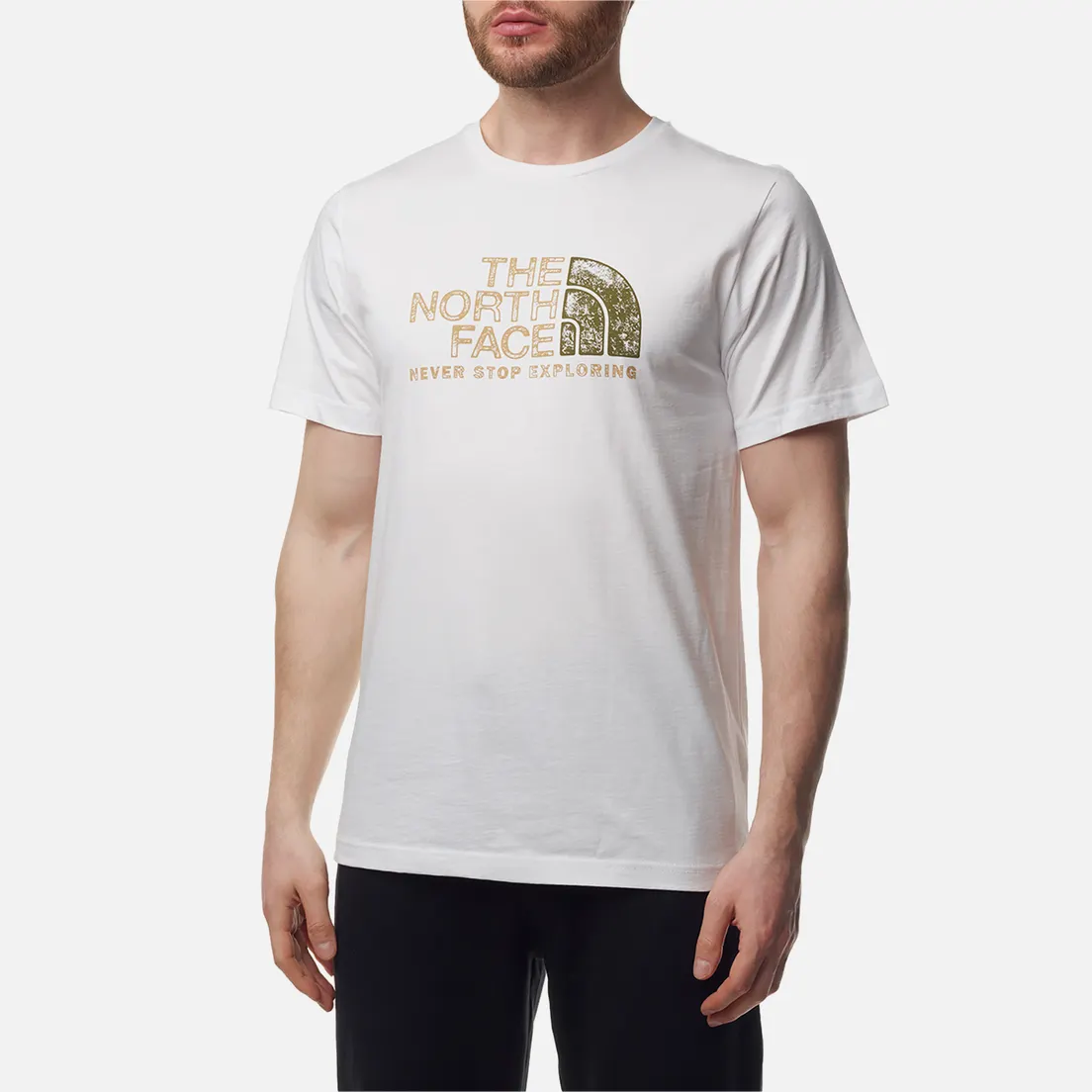 The North Face Мужская футболка Rust 2