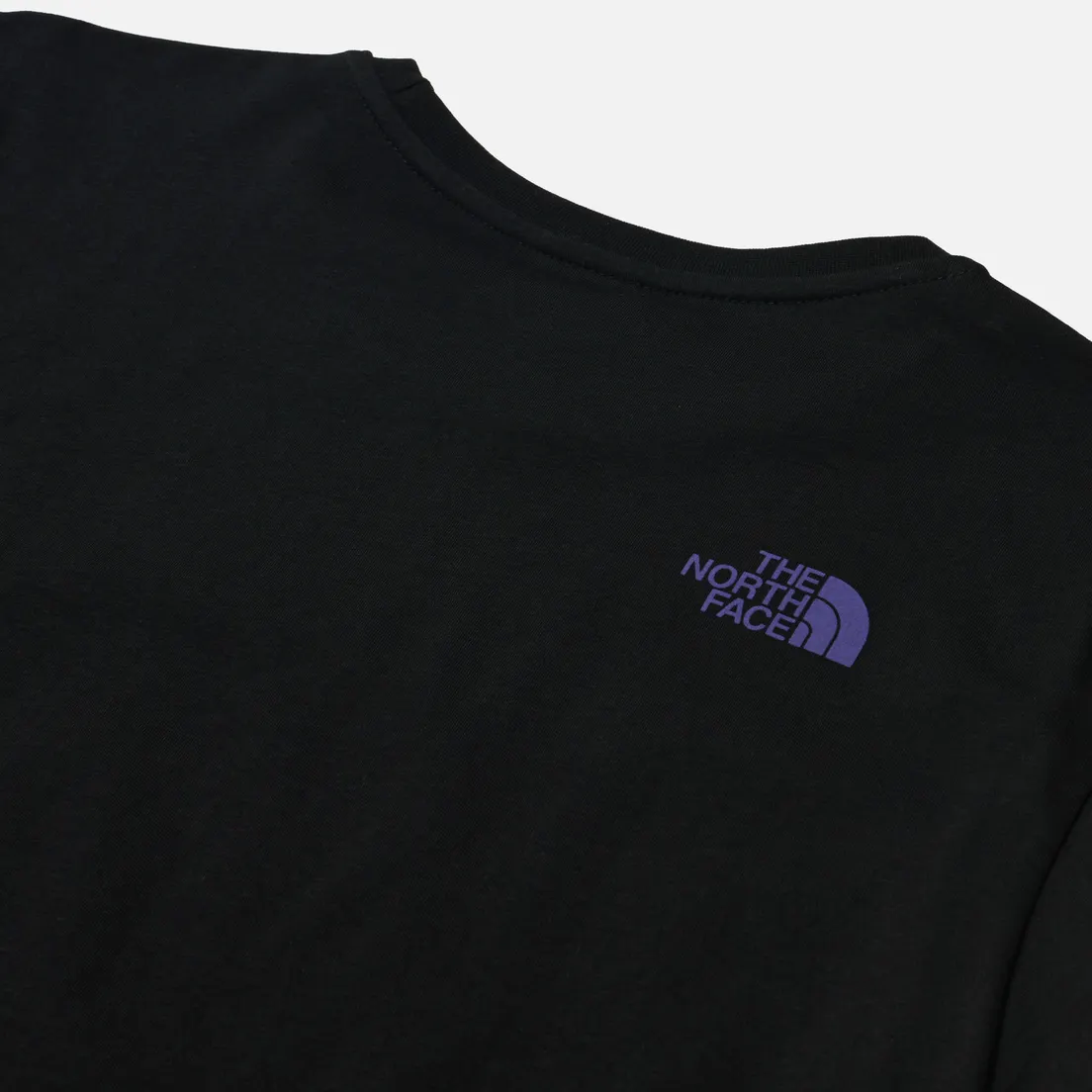 The North Face Мужская футболка Rust 2