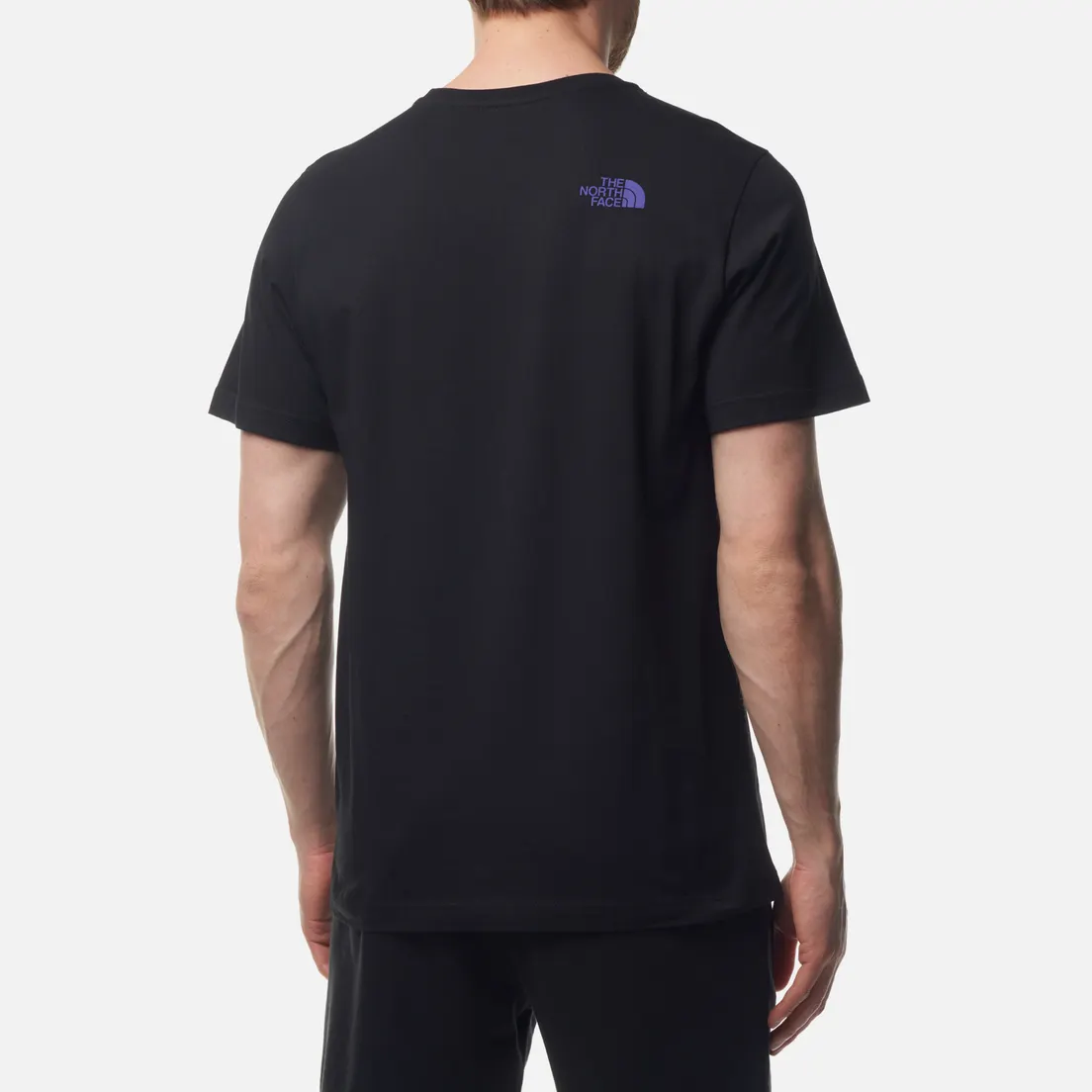 The North Face Мужская футболка Rust 2