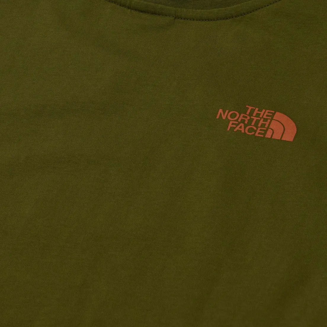The North Face Мужская футболка Rust 2