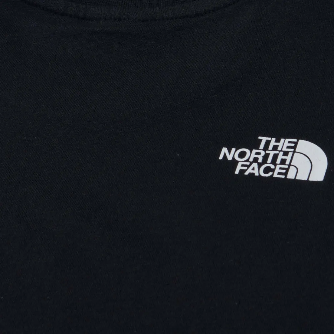 The North Face Мужская футболка Berkeley California