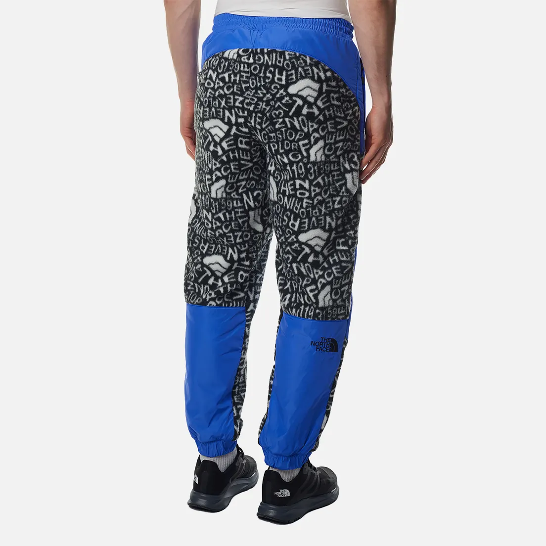 The North Face Мужские брюки Fleeski Y2K Printed