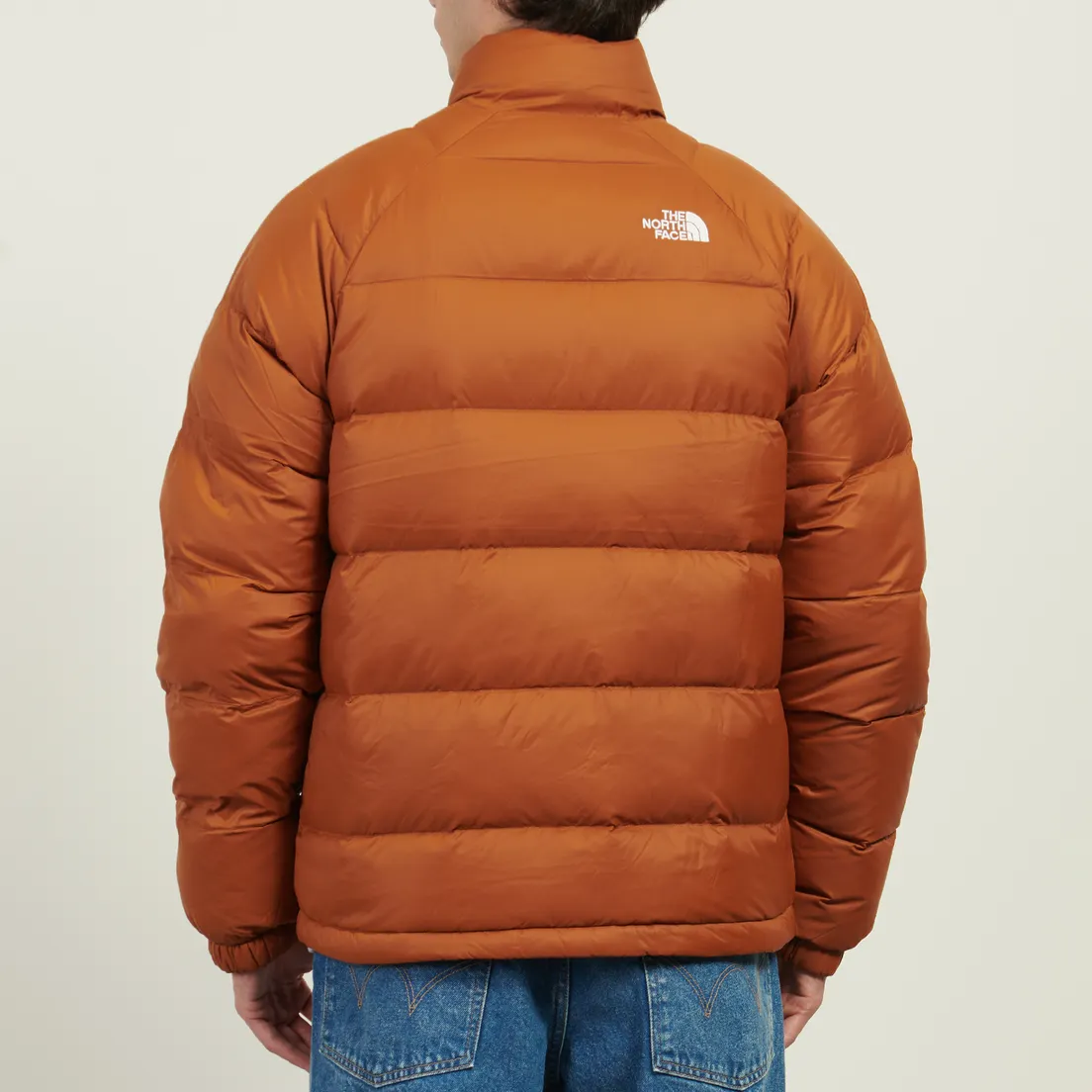 The North Face Мужской пуховик Hydrenalite Down