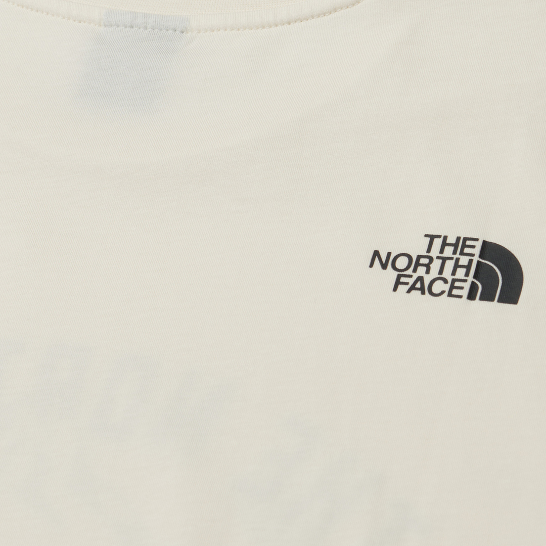 The North Face Мужская футболка Varsity Graphic