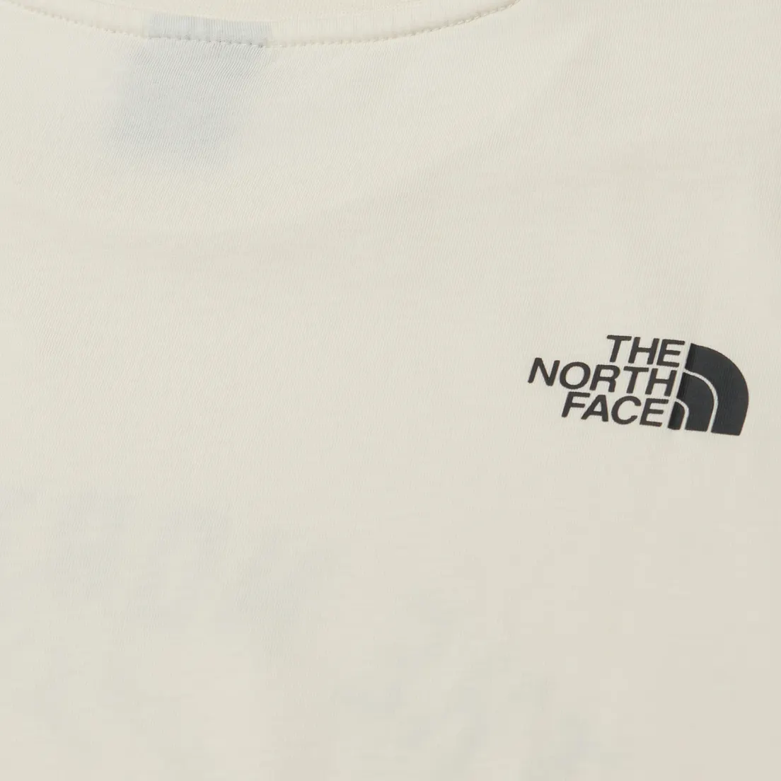 The North Face Мужская футболка Varsity Graphic