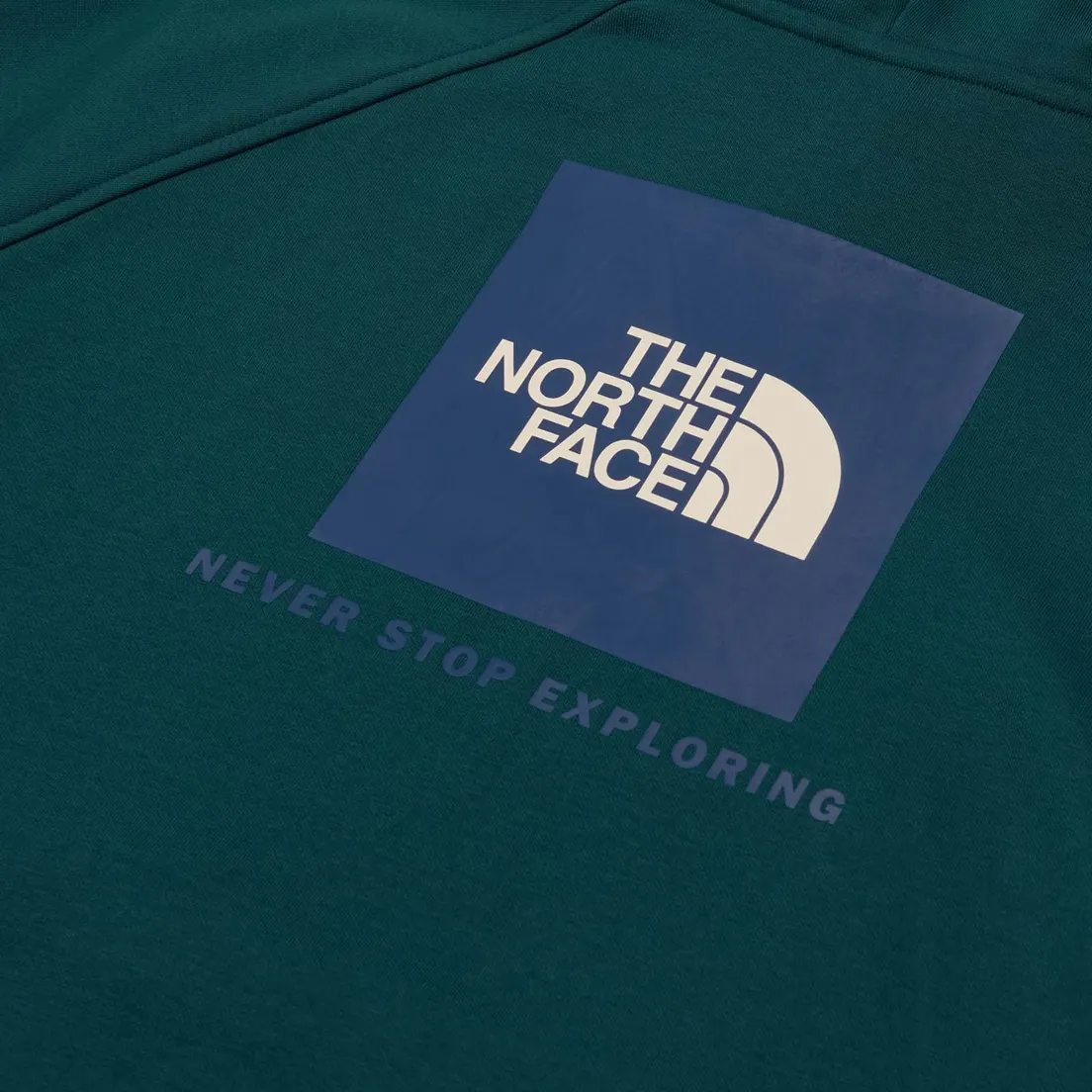 The North Face Мужская толстовка Raglan Redbox NSE Hoodie