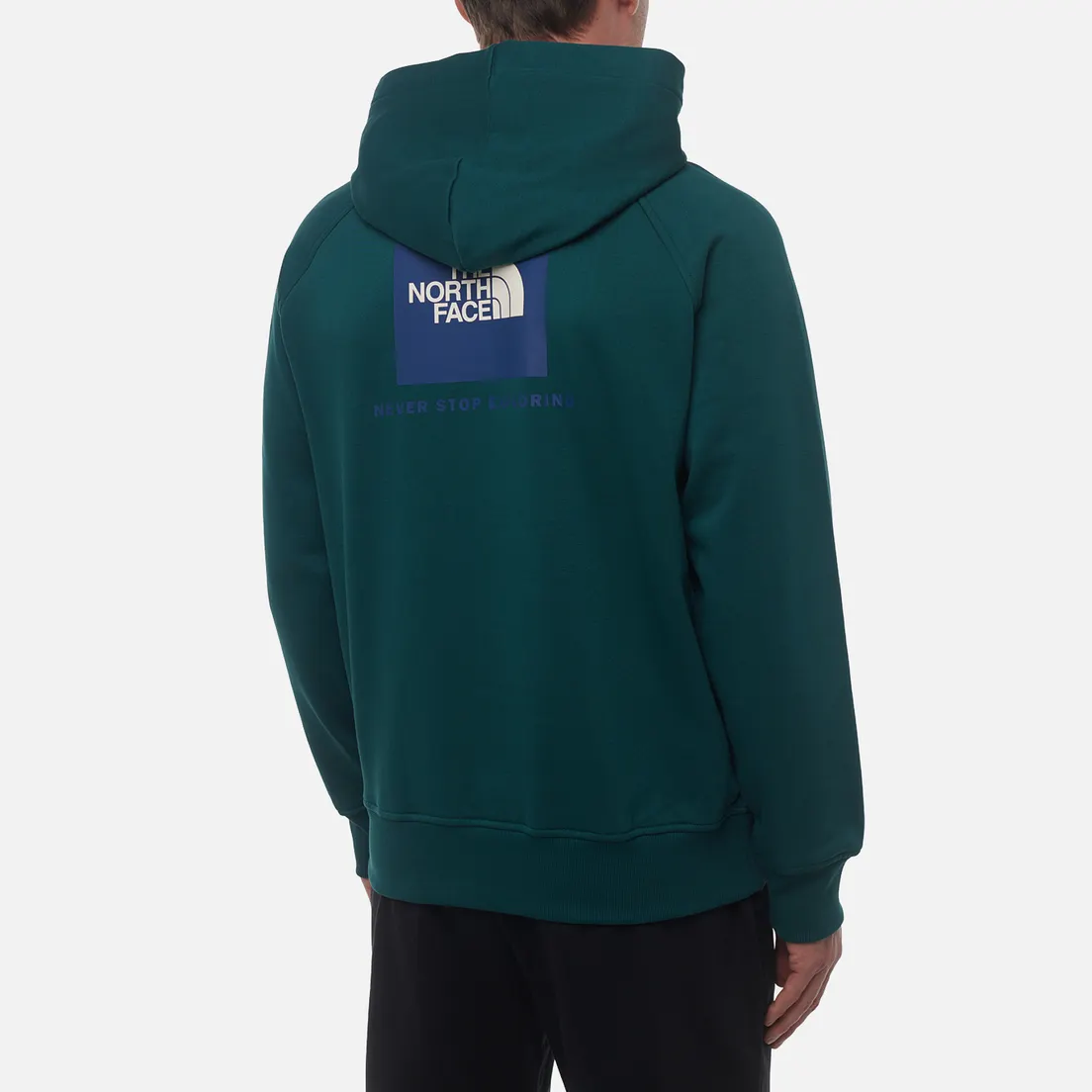 The North Face Мужская толстовка Raglan Redbox NSE Hoodie