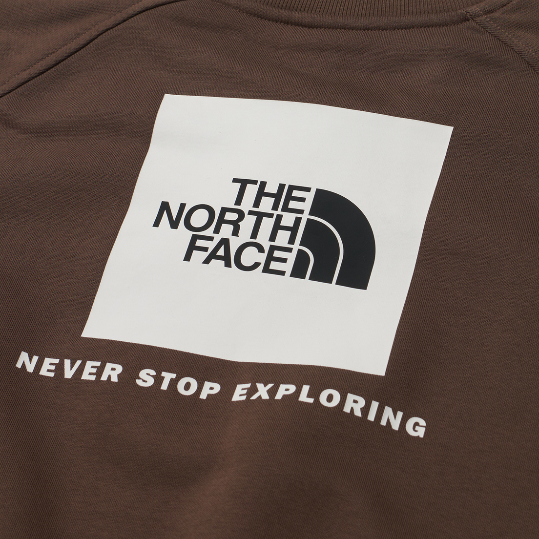 The North Face Мужская толстовка Raglan Redbox NSE Crew