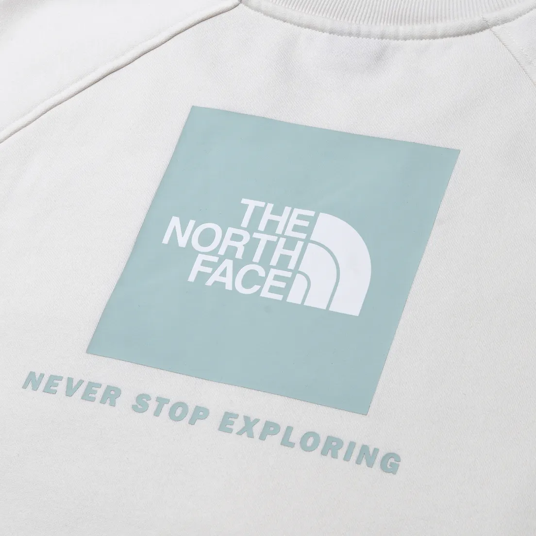 The North Face Мужская толстовка Raglan Redbox NSE Crew