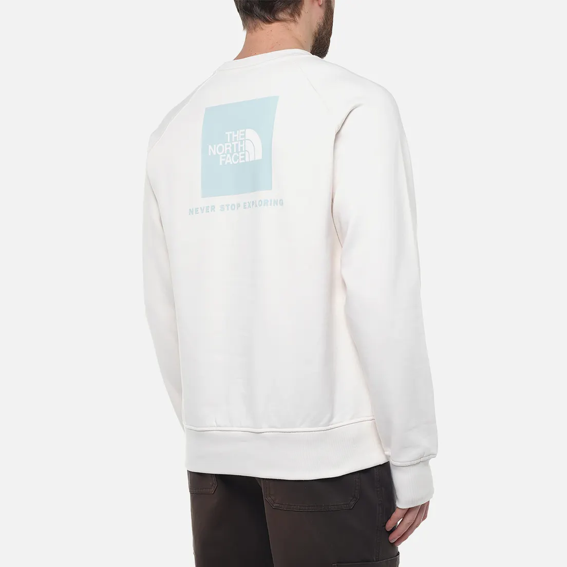 The North Face Мужская толстовка Raglan Redbox NSE Crew