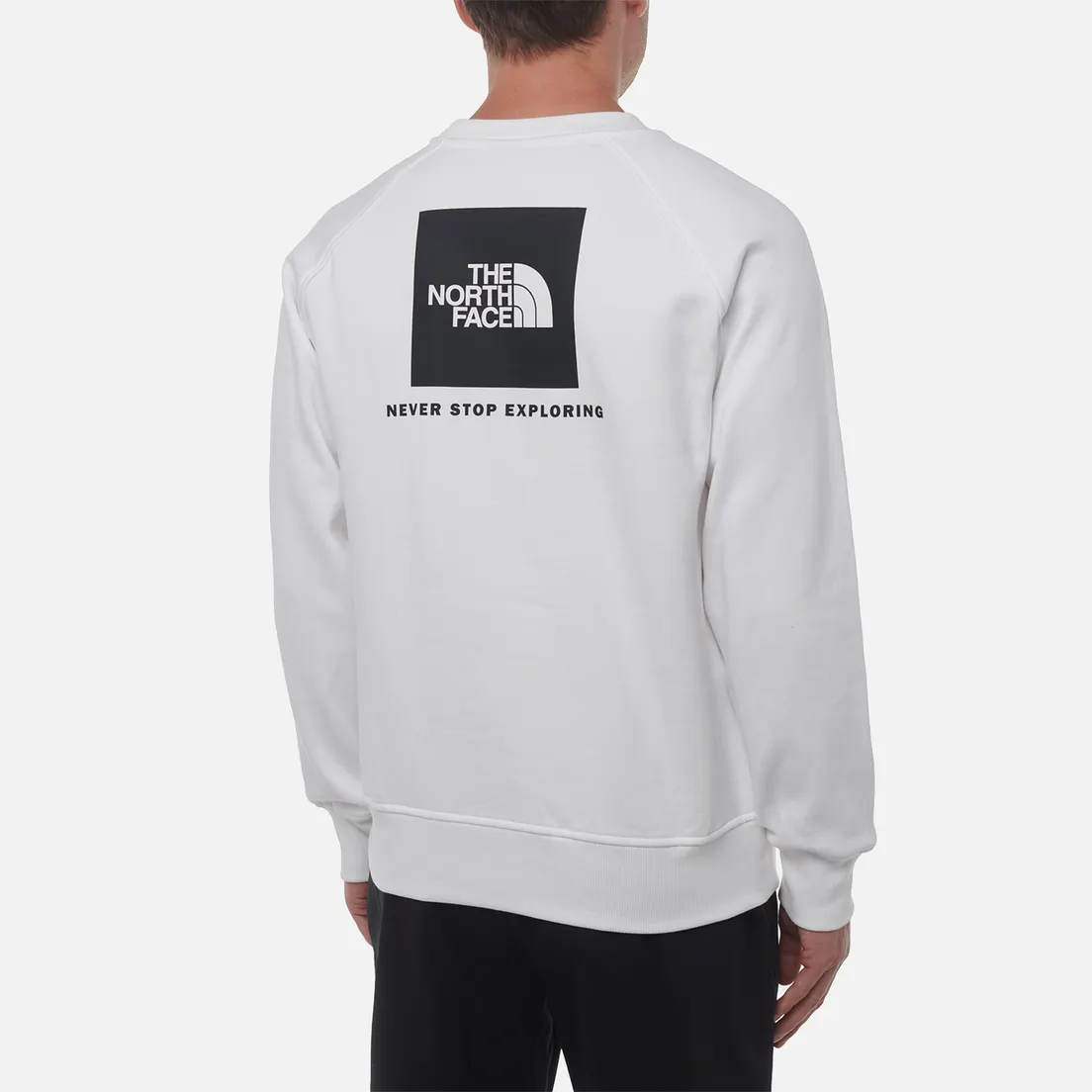 The North Face Мужская толстовка Raglan Redbox NSE Crew