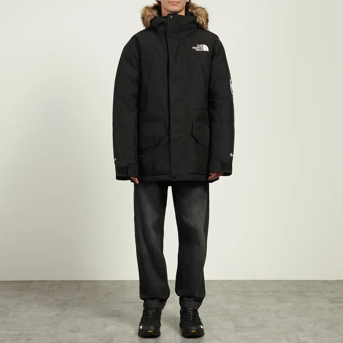 The North Face Мужская куртка парка McMurdo 2L Gore-Tex Down