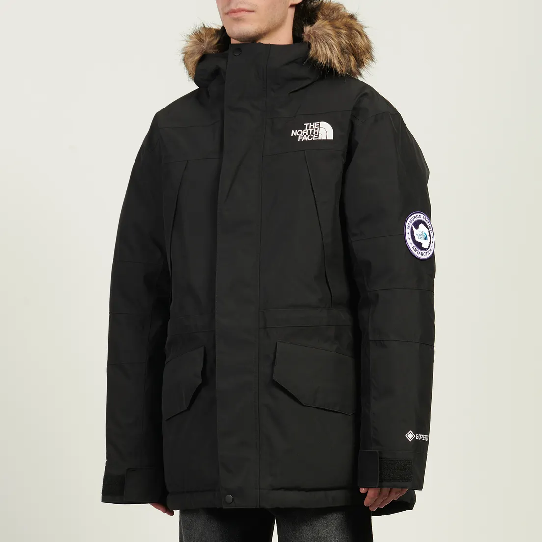 The North Face Мужская куртка парка McMurdo 2L Gore-Tex Down