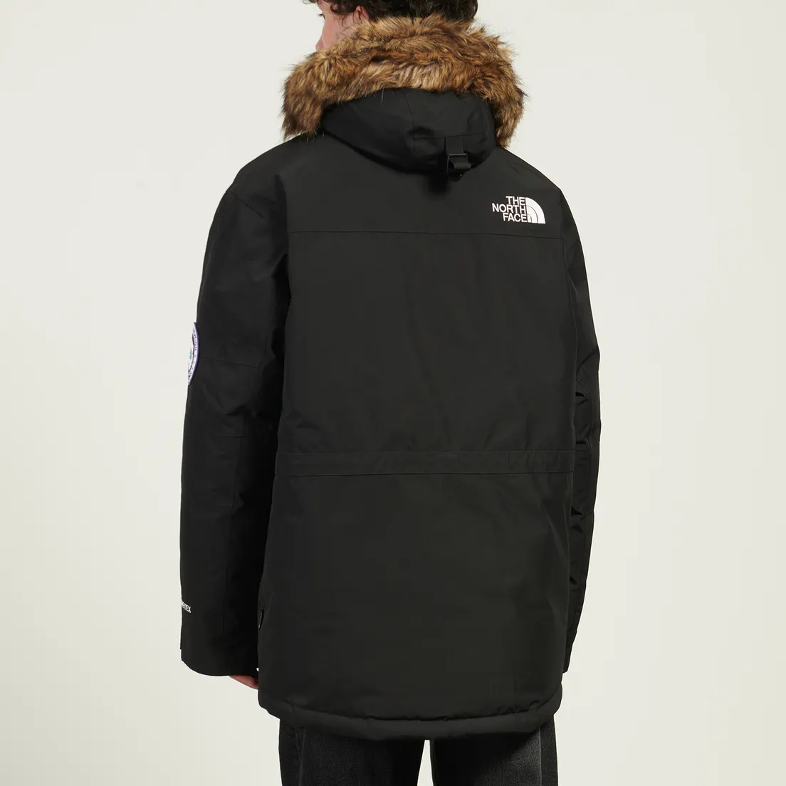 The North Face Мужская куртка парка McMurdo 2L Gore-Tex Down