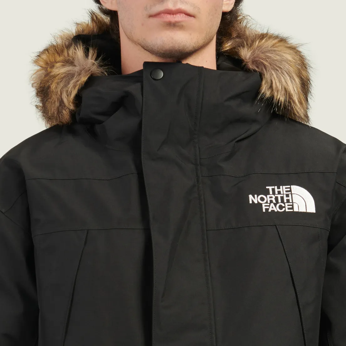 The North Face Мужская куртка парка McMurdo 2L Gore-Tex Down