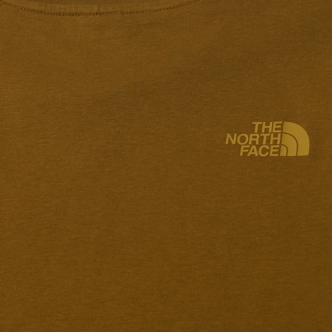 The North Face Мужская футболка Easy Regular Fit