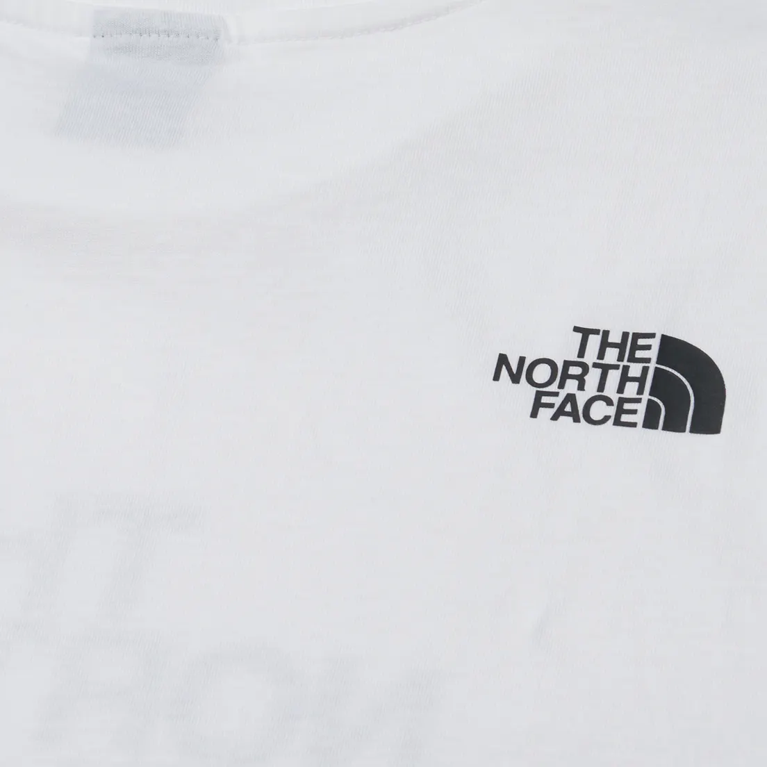 The North Face Мужская футболка Easy Regular Fit