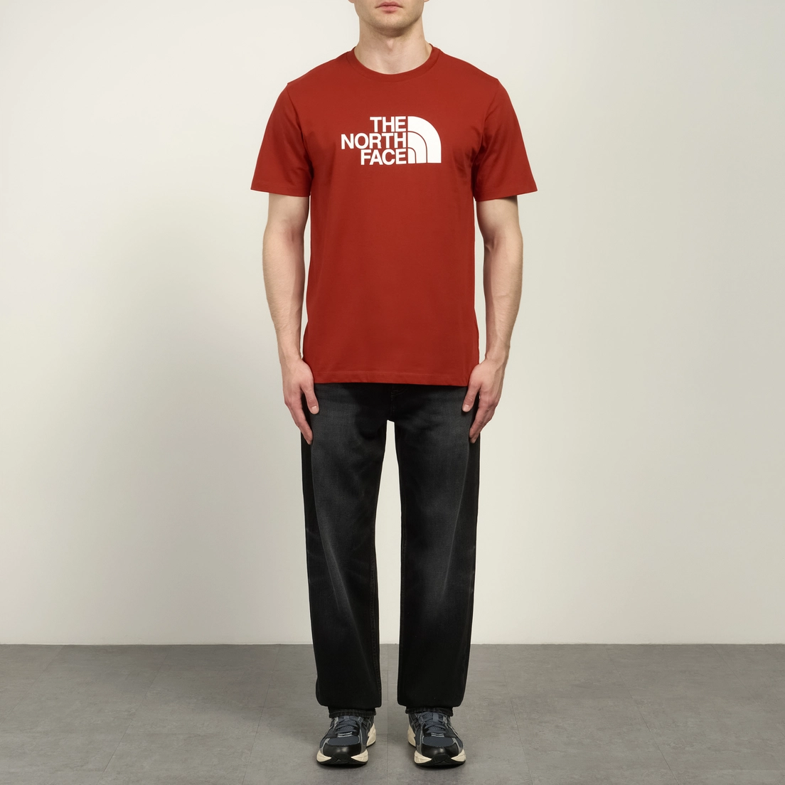 The North Face Мужская футболка Evolution Half Dome Regular