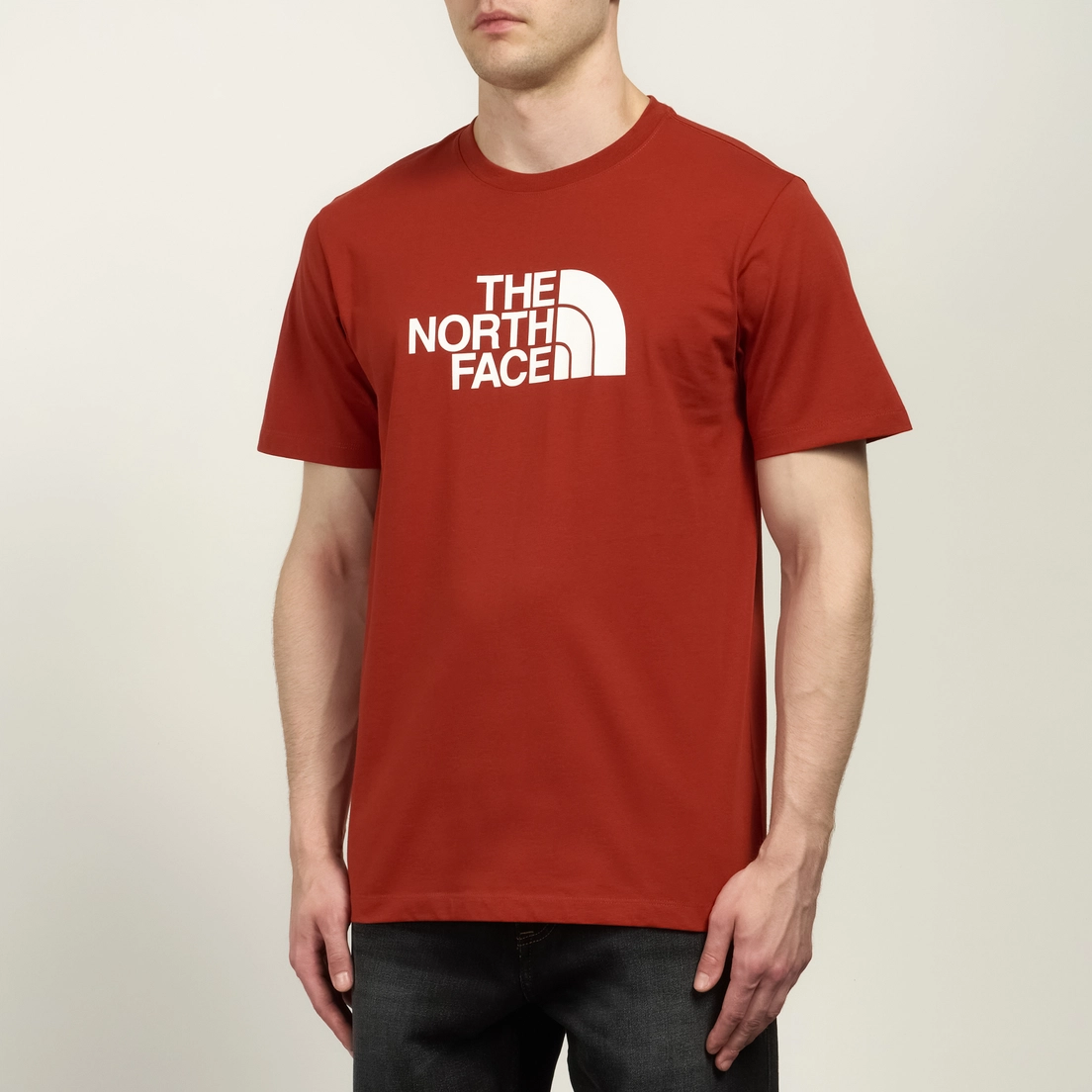 The North Face Мужская футболка Evolution Half Dome Regular