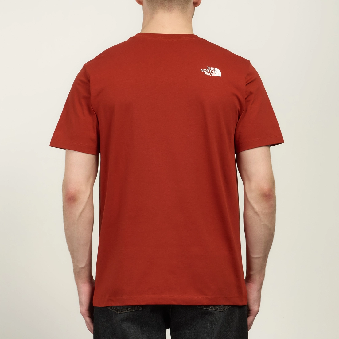 The North Face Мужская футболка Evolution Half Dome Regular