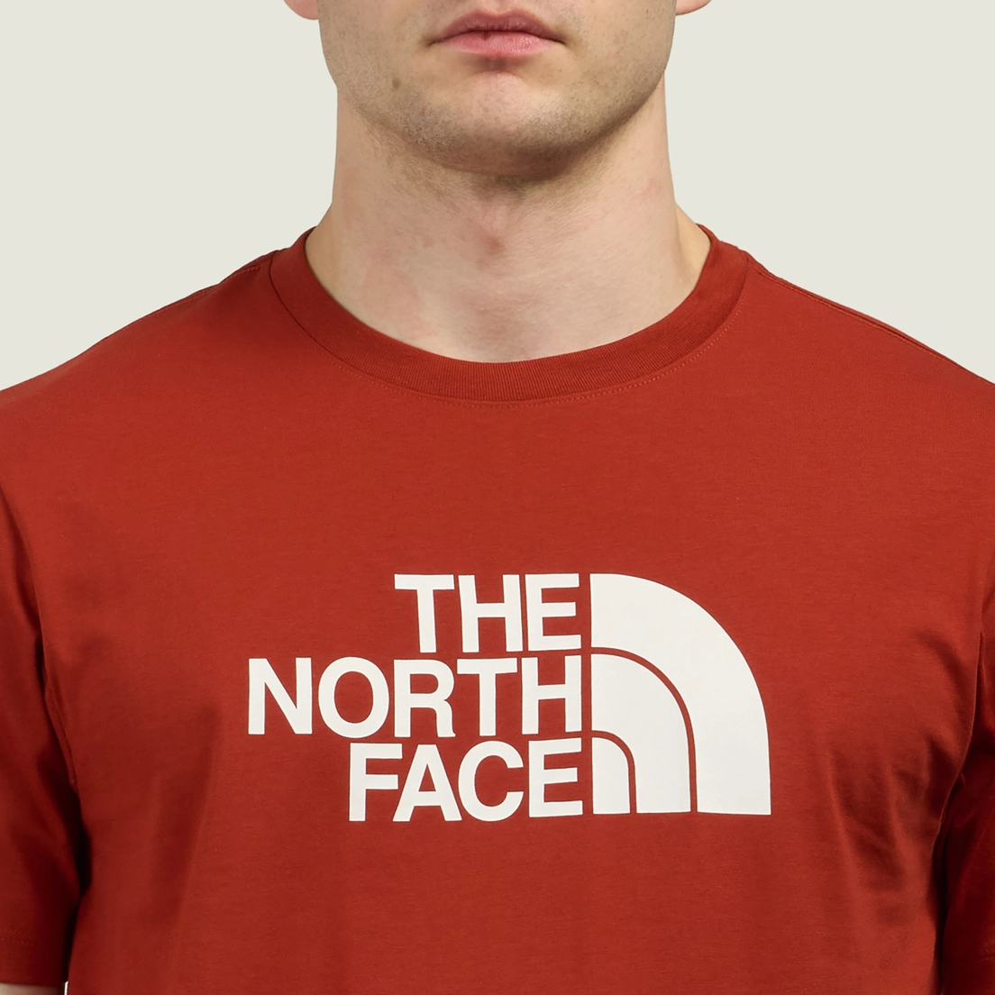 The North Face Мужская футболка Evolution Half Dome Regular
