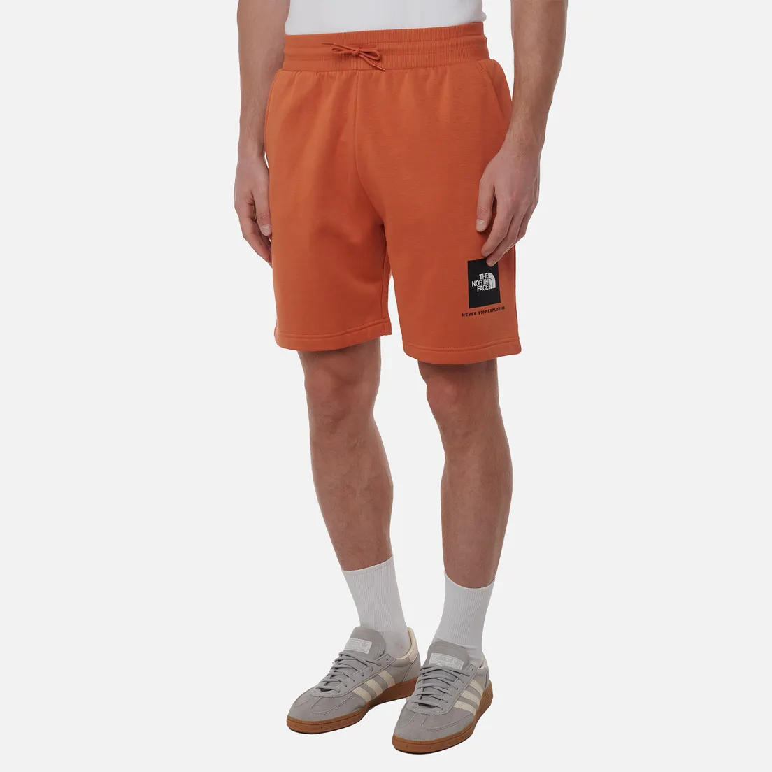 The North Face Мужские шорты NSE Box Regular