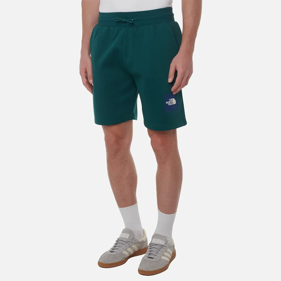 The North Face Мужские шорты NSE Box Regular