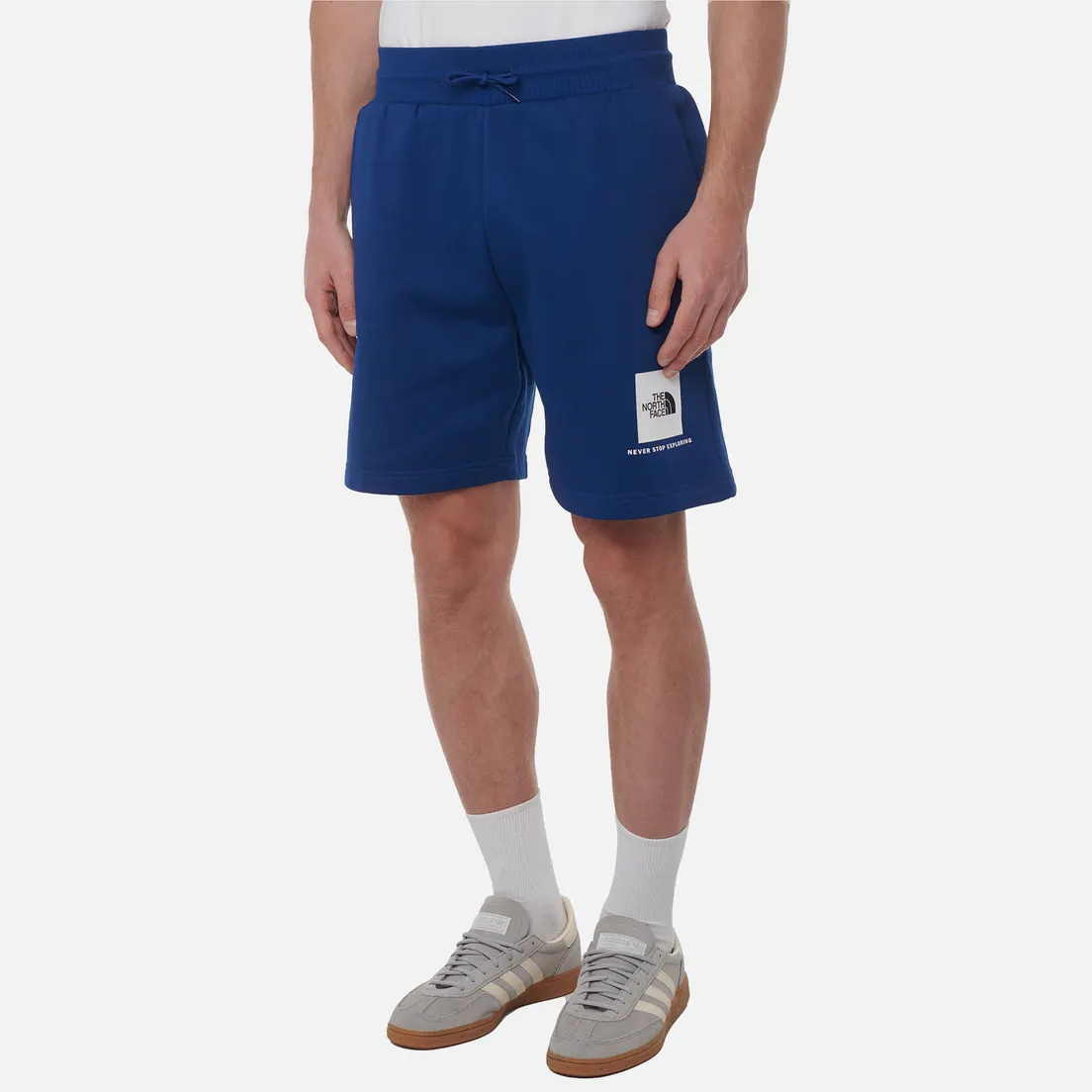 The North Face Мужские шорты NSE Box Regular