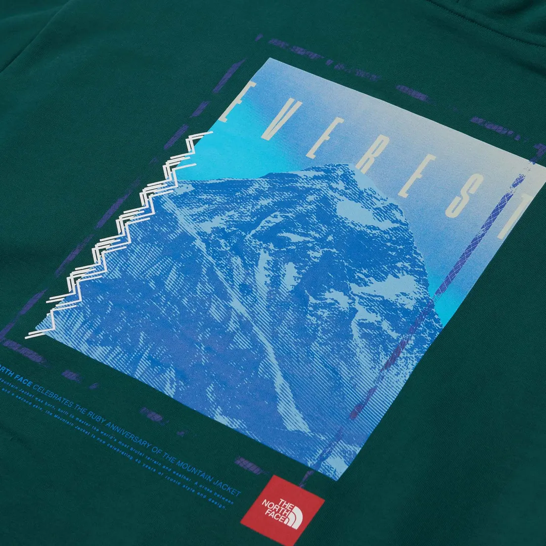 The North Face Мужская толстовка Axys Oversized Hoodie