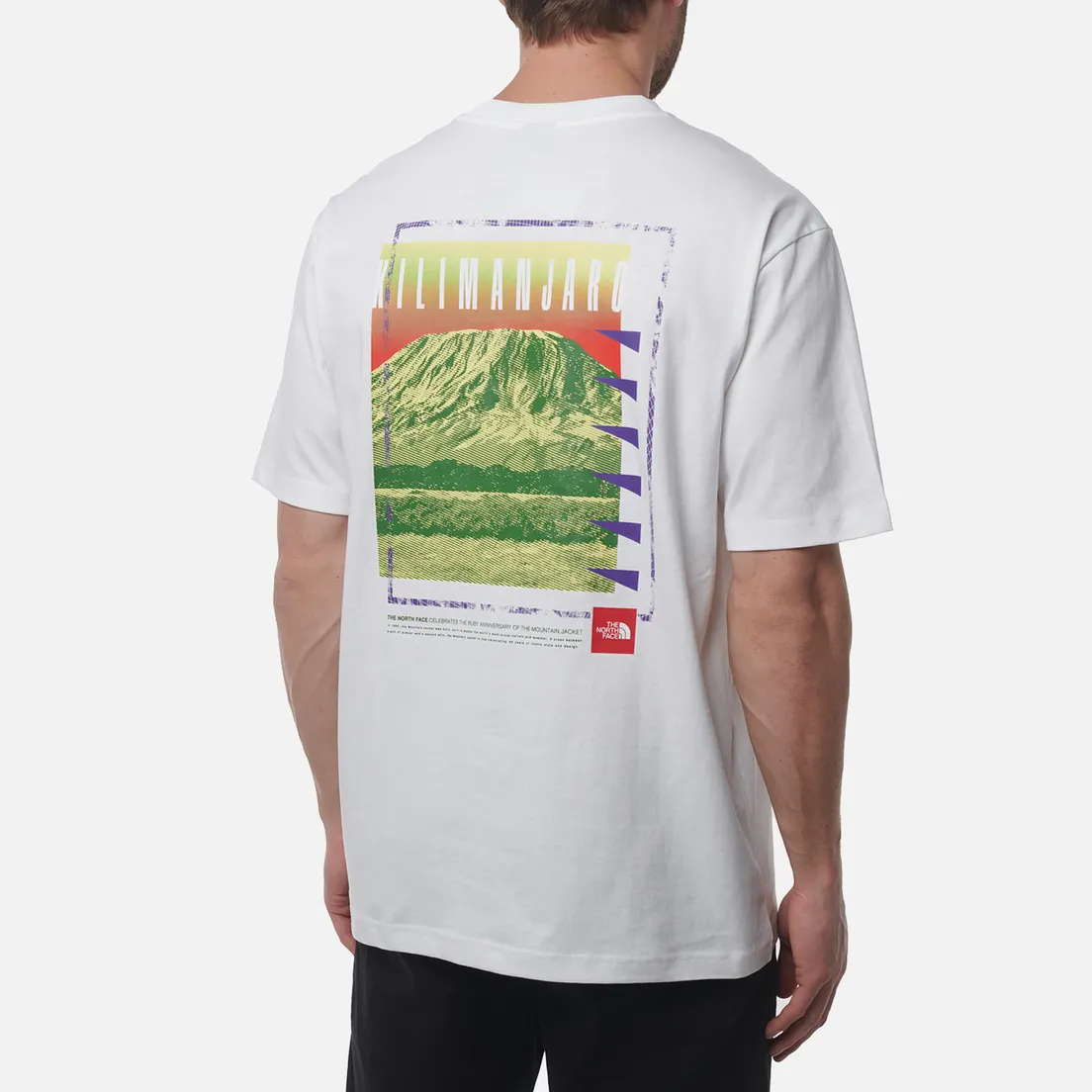 The North Face Мужская футболка Axys Oversized