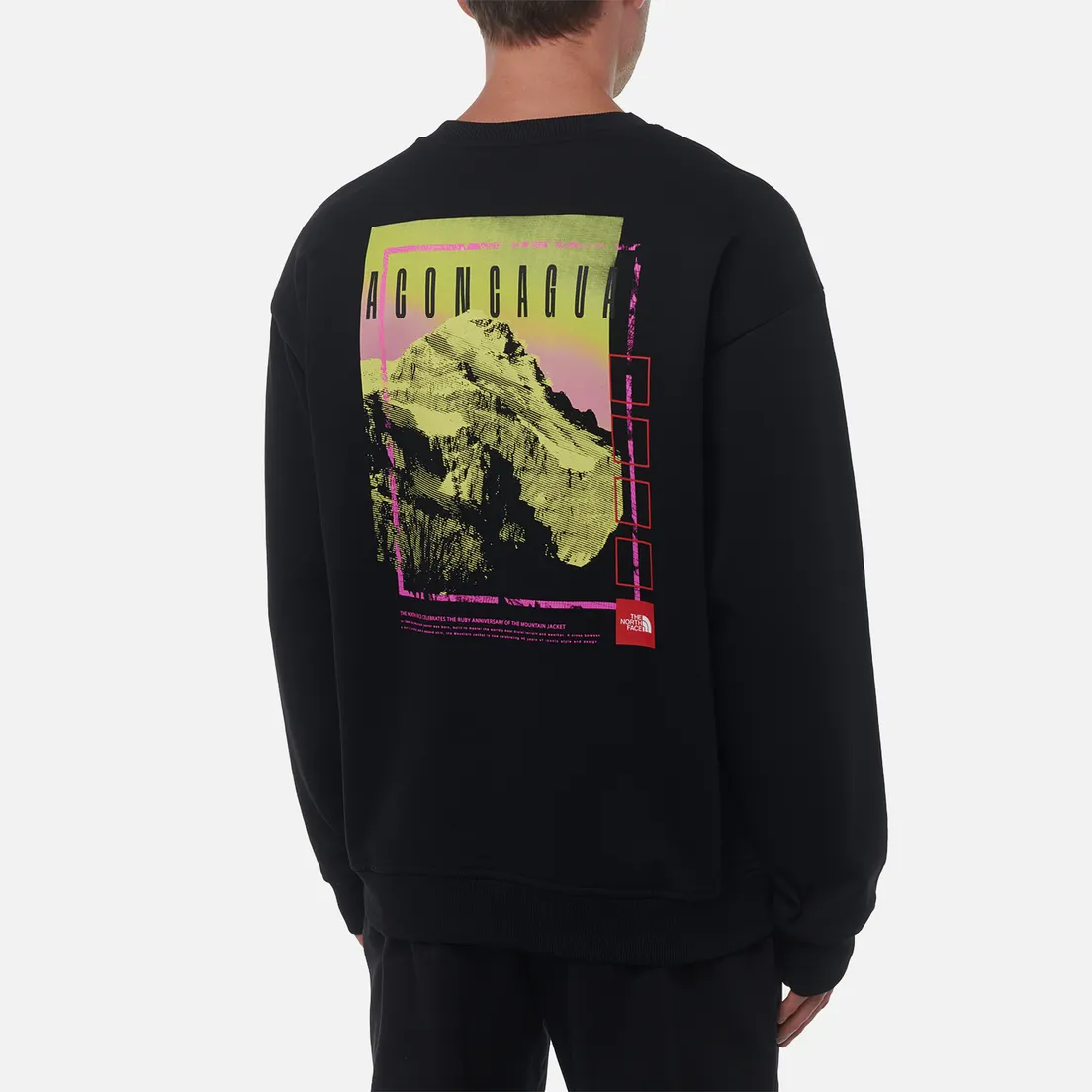 The North Face Мужская толстовка Axys Oversized Crew
