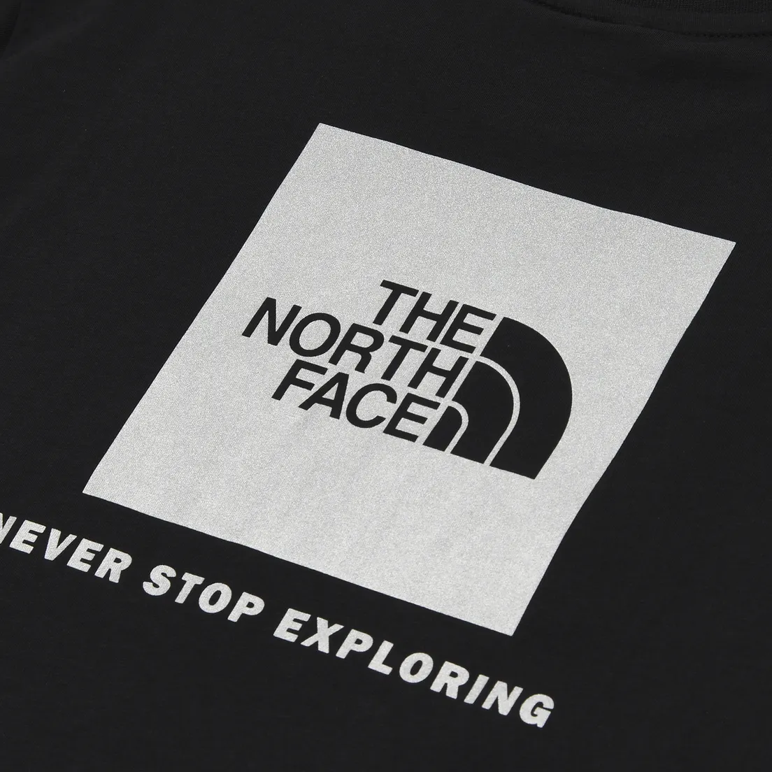 The North Face Мужская футболка NSE Reflective Box