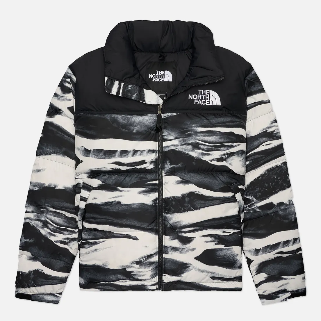 The North Face Мужской пуховик 1996 Retro Nuptse Printed