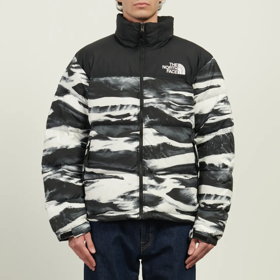 The North Face Мужской пуховик 1996 Retro Nuptse Printed