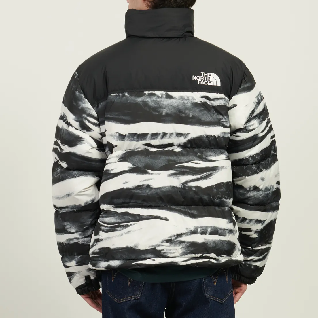 The North Face Мужской пуховик 1996 Retro Nuptse Printed