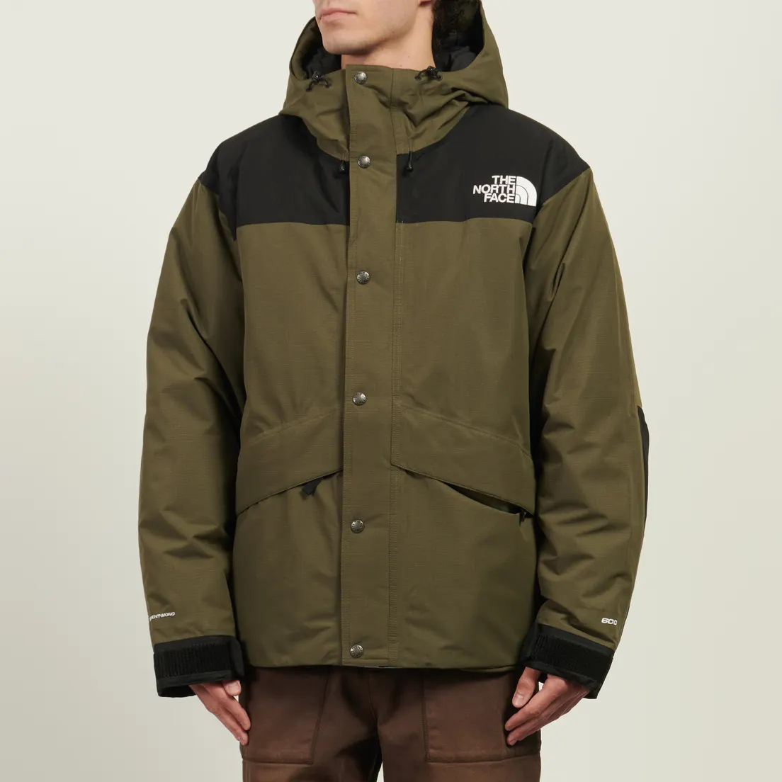 The North Face Мужская демисезонная куртка Mountain Down