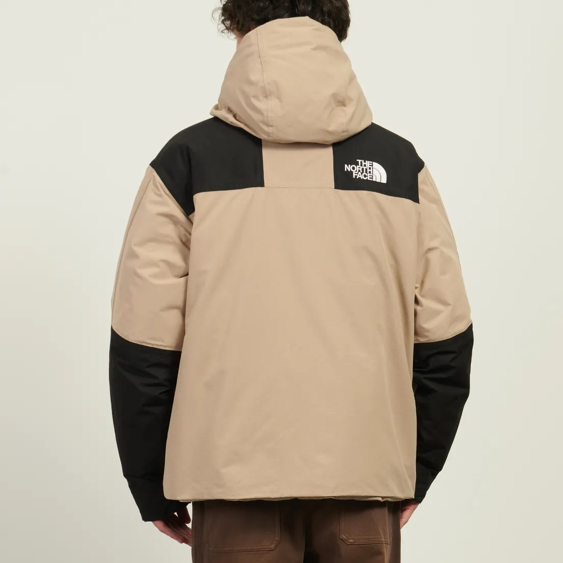 The North Face Мужская демисезонная куртка Mountain Down