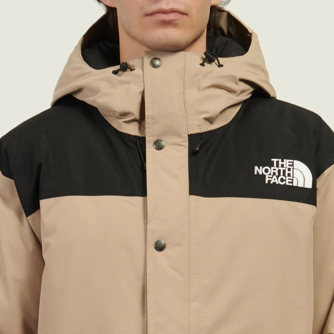 The North Face Мужская демисезонная куртка Mountain Down