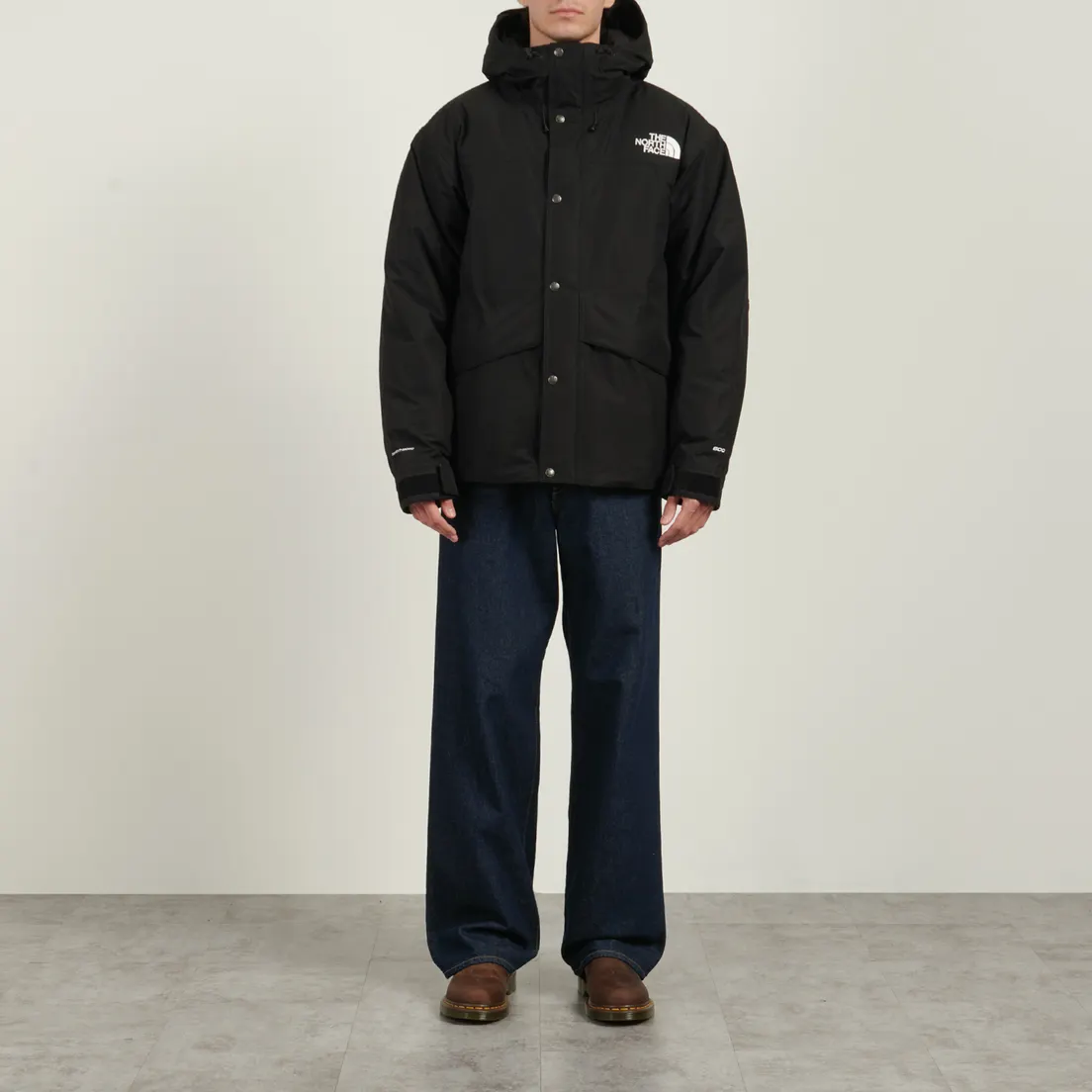 The North Face Мужская демисезонная куртка Mountain Down