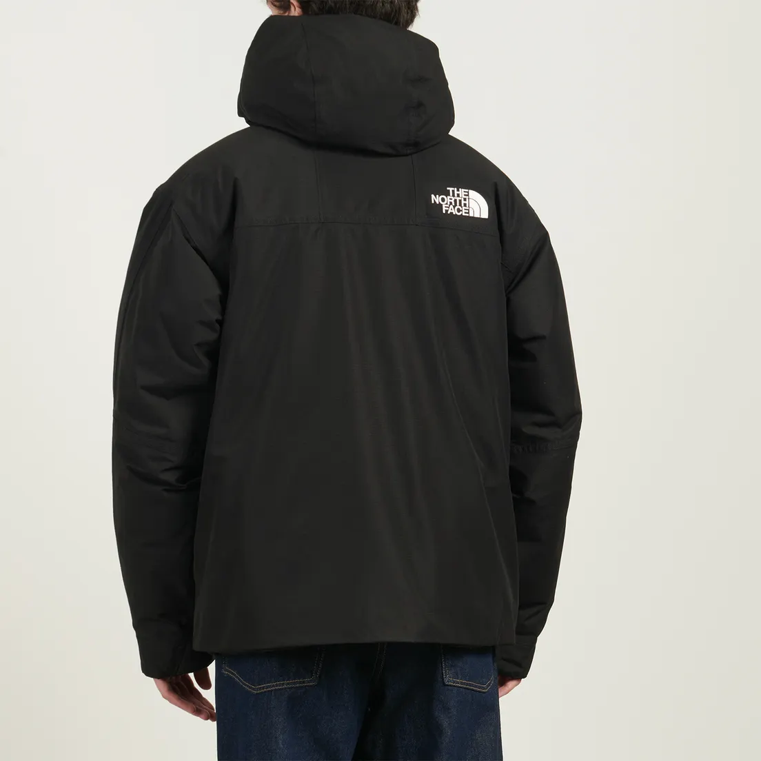 The North Face Мужская демисезонная куртка Mountain Down