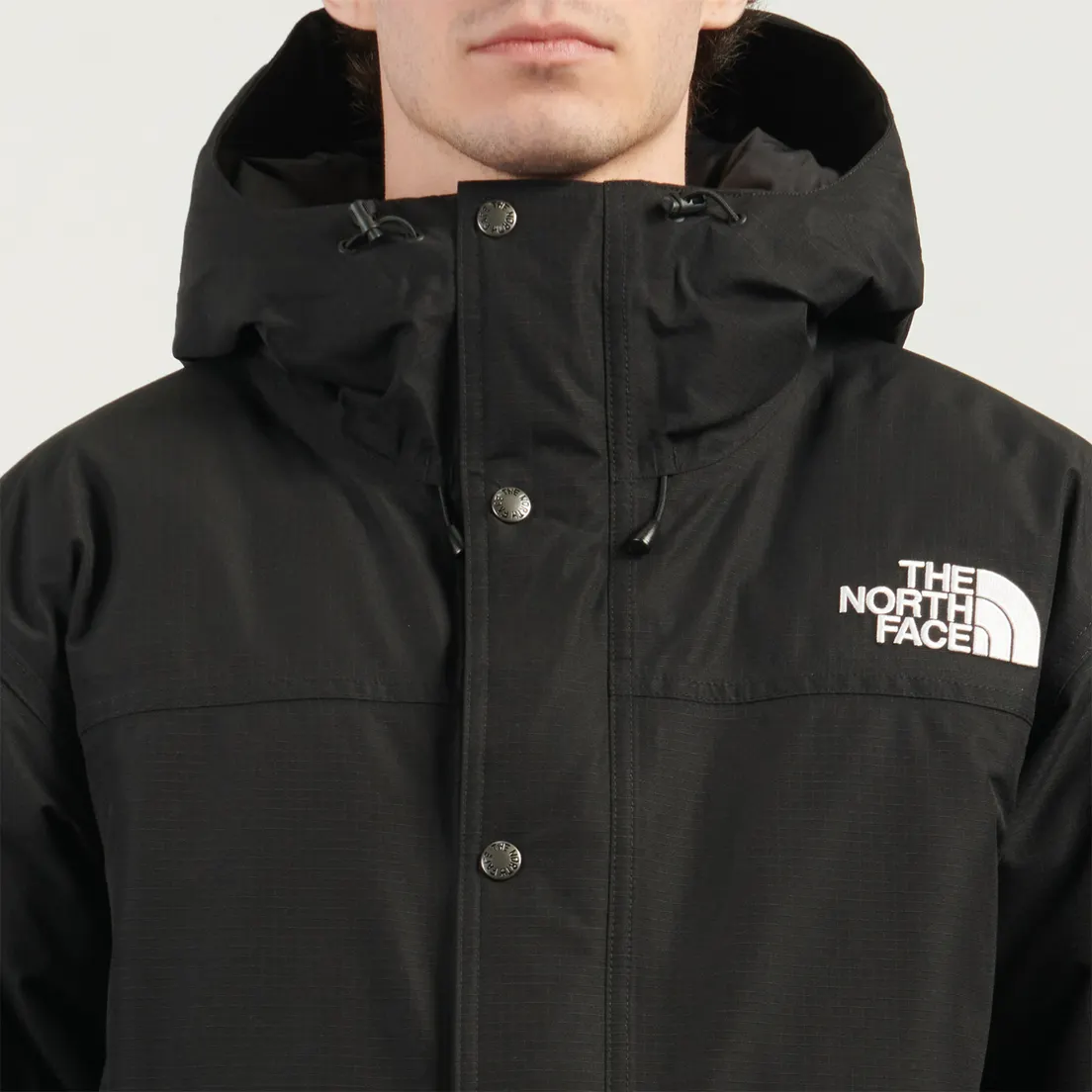 The North Face Мужская демисезонная куртка Mountain Down