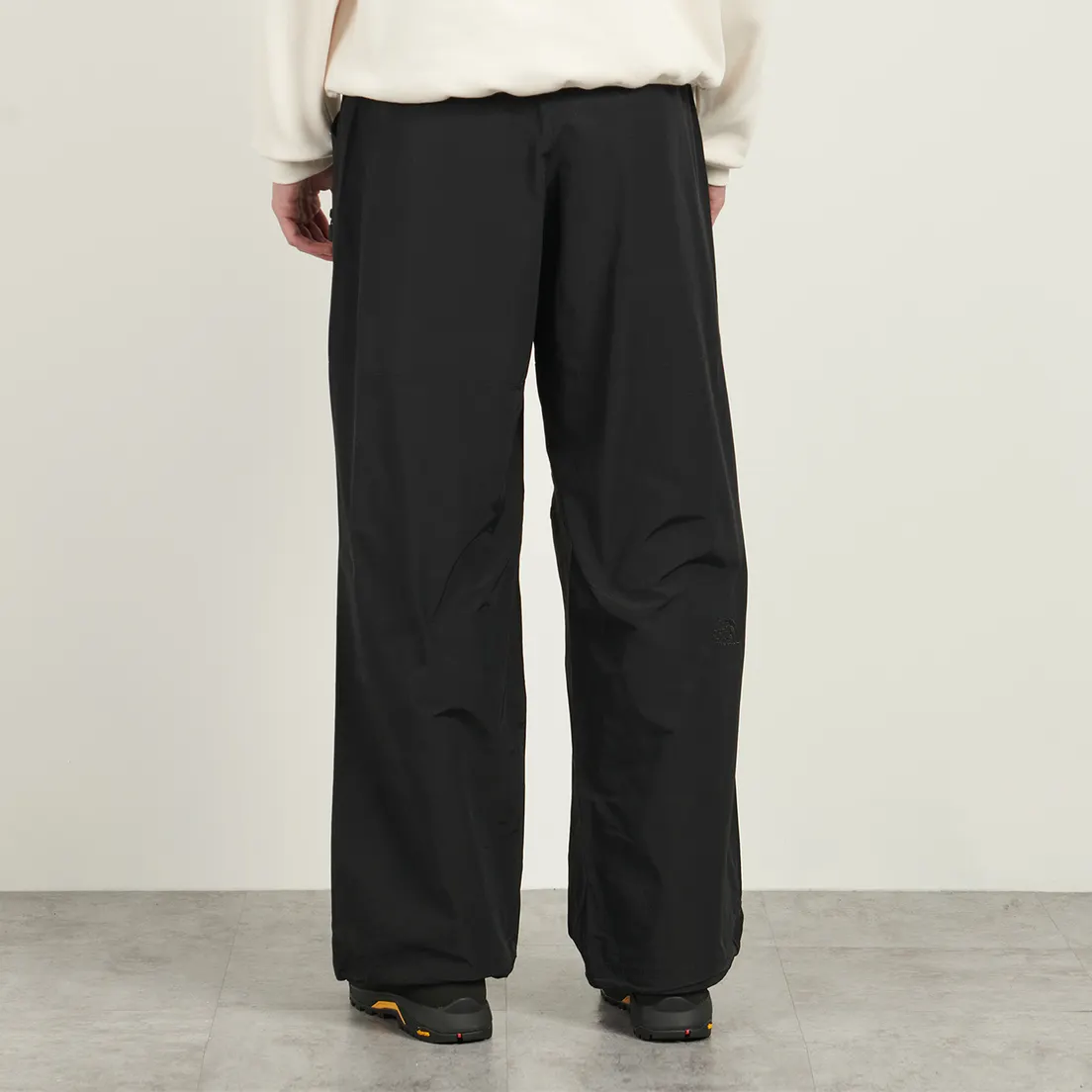 The North Face Мужские брюки NSE New